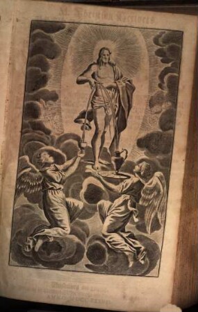 M. Christian Scrivers, Fürstl. Sächs. Ober-Hof-Predigers und Consistorial-Raths zu Qvedlinburg, Seelen-Schatz : Darinnen Von der menschlichen Seelen hohen Würde, tieffen und kläglichen Sünden-Fall, Busse und Erneuerung durch Christum ... gehandelt wird ..., [1/3]