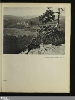 Blick vom Vorderen Raubschloß (Frienstein)