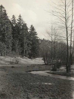 Plauen. Syratal, im Hintergrund Touristenhaus