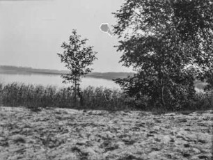 Am See : Blick von einem Feld auf einen See