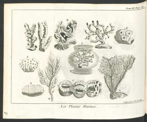 Tafel: Les Plantes Marines.
