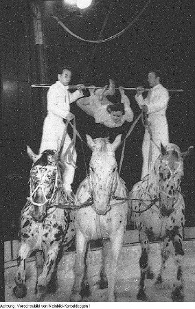 Dresden, Gastspiel des Zirkus Busch, April 1952