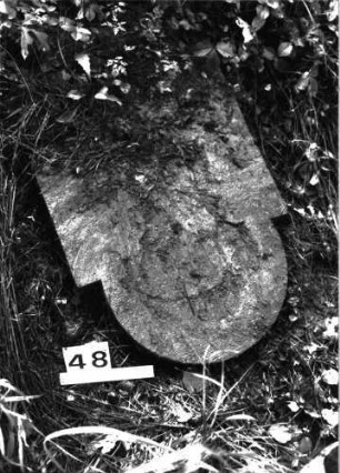 Grabstein 48 (Index: 99897431) Zustand: liegend: Grabstein 48