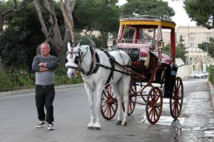In Mdina wartet Kutscher auf Fahrgäste