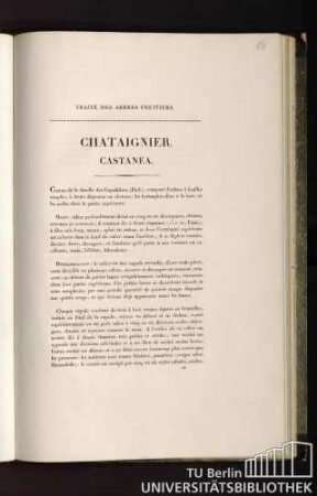Traité des arbres fruitiers. Chataignier. Castanea.
