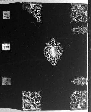 Biblia sacra Veteris et Novi Testamenti - BSB Clm 10007