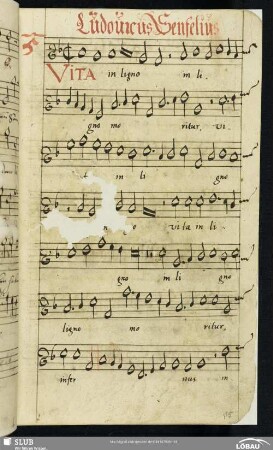 5 Ludwig Senfl: Vita in ligno moritur