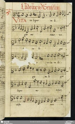 5 Ludwig Senfl: Vita in ligno moritur