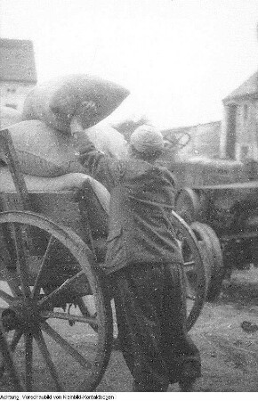 Guttau-Brösa, Ernte, 1947