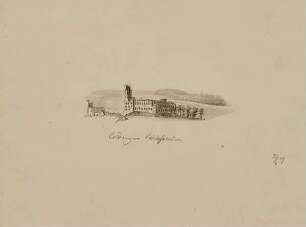 Coldinger Schlossruine