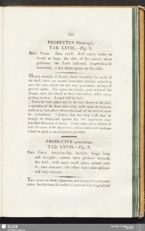 Productus Flemingii. Tab. LXVIII. - Fig. 2
