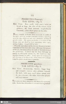 Productus Flemingii. Tab. LXVIII. - Fig. 2