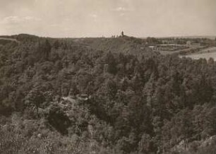 Blick auf Rochsburg