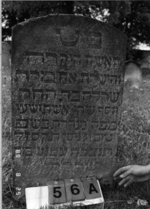 Grabstein 56 (Index: 100108151) Material: heller Sandstein Zustand: verwittert, versalzen, bewachsen Maße HxBxT: 90x52x13 cm Beschreibung: Stele mit Segmentbogenabschluß: Grabstein 56A