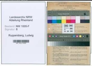 Entnazifizierung Ludwig Ruppersberg , geb. 30.12.1893 (Schadensbearbeiter)