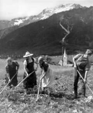 Eine Bauerfamilie erhält Unterstützung beim Unkraut hacken von einer Arbeitsmaid des Reichsarbeitsdienstes