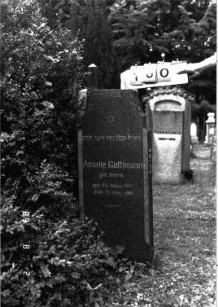 Grabstein 160 (Index: 100101803) Material: Granit Zustand: gut Maße HxBxT: 115x46x15 cm Beschreibung: Stele, zweifach geschwungen eingezogener Korbbogenabschluß Symbolik: Davidstern, geometrisches Fries: Grabstein 160