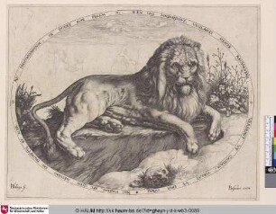 [Der große Löwe; The Great Lion; Le grand lion]