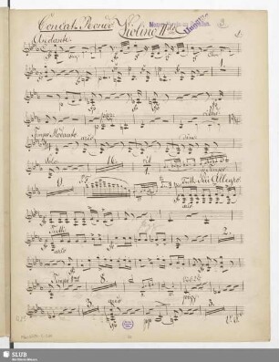 Violino IIdo
