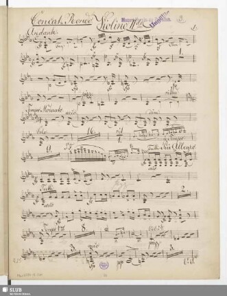 Violino IIdo