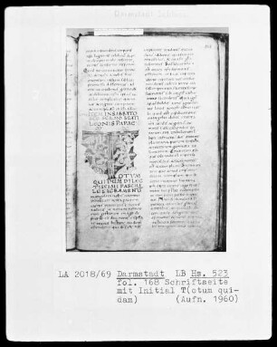 Paulus Diaconus, Homiliarium (Winterteil) und andere — Initiale T(otum quidam), Folio 168recto