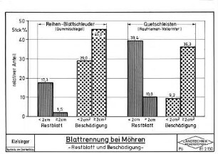 Blatt-Trennung bei Möhren