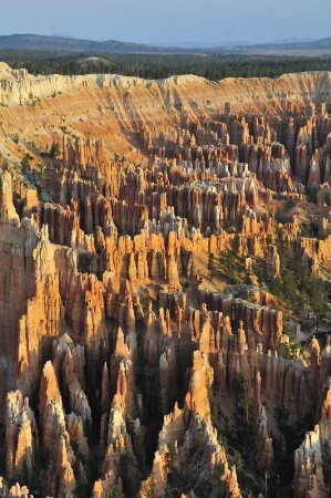 Blick von Inspiration Point auf Hoodoos im Bryce Canyon Nationalpark : Die Morgensonne beleuchtet die bizarr geformten Steingebilde, so genannte "Hoodoos", im Bryce Canyon Nationalpark. Aufgenommen am 18. August 2012