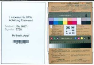 Entnazifizierung Adolf Halbach , geb. 01.12.1890 (Direktor)