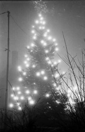 Freiburg: Lichterbaum in der Bertoldstraße