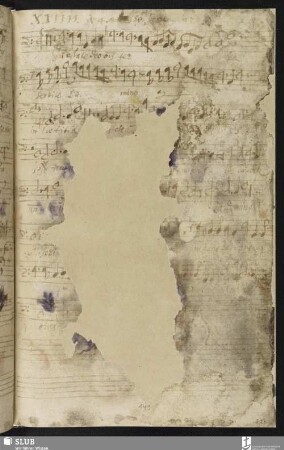 [Cesare, Giovanni Martino:] Jubilate Deo