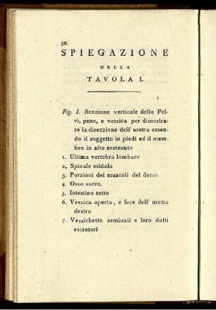 Spiegazione Della Tavola I.