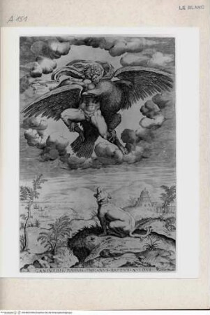 Der Raub des Ganymed - the abduction of Ganymede