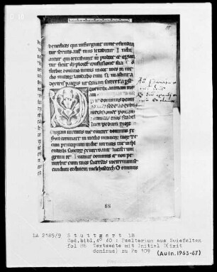 Psalterium mit Kalender — Initiale D (ixit), Folio 88 recto