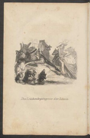 Das Leichenbegängniss der Löwin.