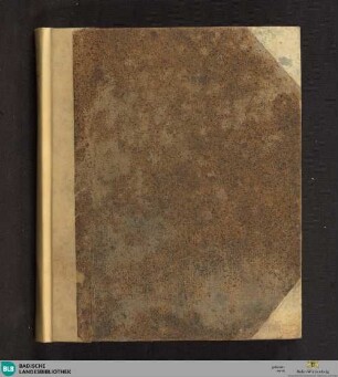 De poenitentia - Cod. Ettenheim-Münster 259