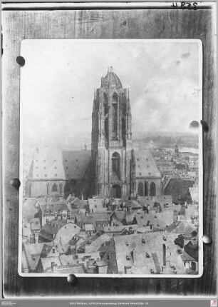 Vom Turm der Paulskirche über die Dächer des Altstadtkerns nach Osten zum Dom