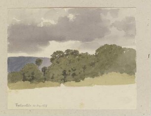 Wäldchen bei Falkenstein unter grauen Wolken