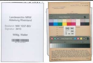 Entnazifizierung Walter Wittig , geb. 12.02.1900 (Kaufmann)