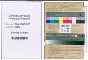 Entnazifizierung Antonie Schmitt , geb. 23.04.1897 (Kauffrau)