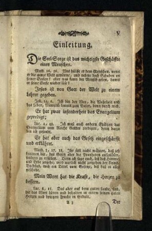 Einleitung: Die Seel-Sorge ist ...