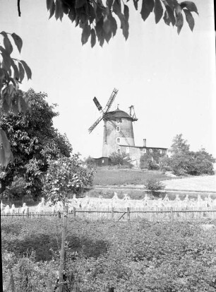 Grimma-Großbothen. Windmühle mit 5 Flügeln. Gartenansicht