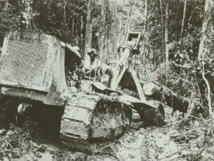 Ghana. Raupenschlepper, Holztransport