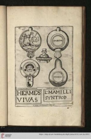 Hermes vivas