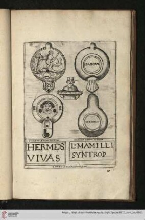 Hermes vivas