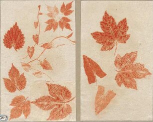 Lange, Ludwig; Lange - Archiv: XIII.7 Blätter - Ansichten