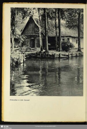 Wohnstallhaus in Lehde, Spreewald