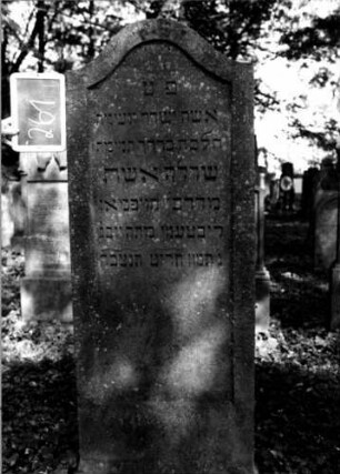 Grabstein 261 (Index: 100112090) Material: Sandstein Zustand: gut Maße HxBxT: 170x60x11 cm Beschreibung: Stele, Konvexbogenabschluß, Schriftfeld eingetieft: Grabstein 261