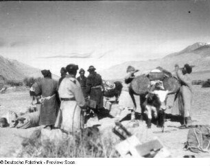 China. Sinkiang (Xinjiang). Kunlun. Tal des Karakasch-darja. Beladen von Yaks im Lager Kengshewar