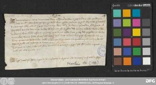 [Halle (Saale), Universitäts- und Landesbibliothek Sachsen-Anhalt, Morbio 10 (19)]