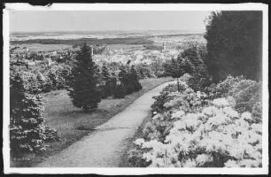 Kamenz. Blick vom Hutberg auf Kamenz